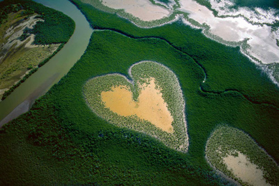 Exposition La Terre vue du ciel - Yann Arthus Bertrand