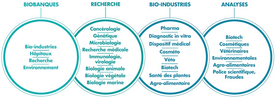 Les secteurs d'activité après une formation ESTBB