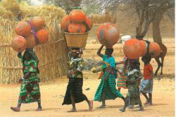 femmes en afrique du santé internationale