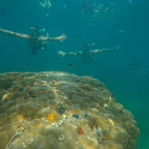 Etudiants en plongée